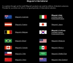 Over 40 International Meguiar's Websites